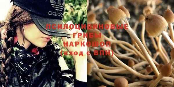 бутират Тольятти